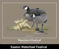 easton waterfowl festival
